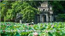 Du lịch Ninh Bình mùa nào đẹp nhất? Cẩm nang du lịch Ninh Bình 2023